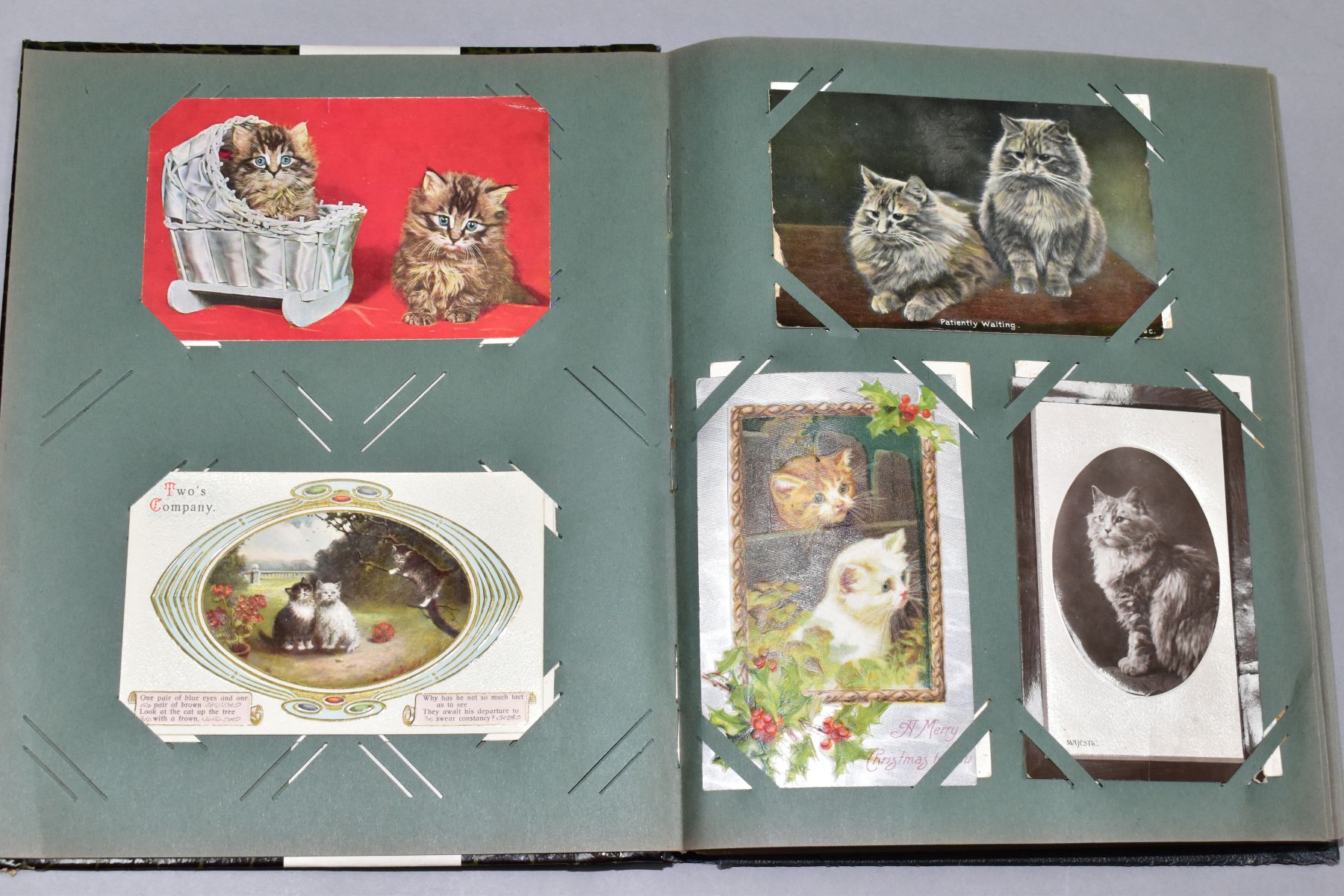 POSTCARDS, one album containing approximately 250 cat related postcards - Bild 2 aus 11