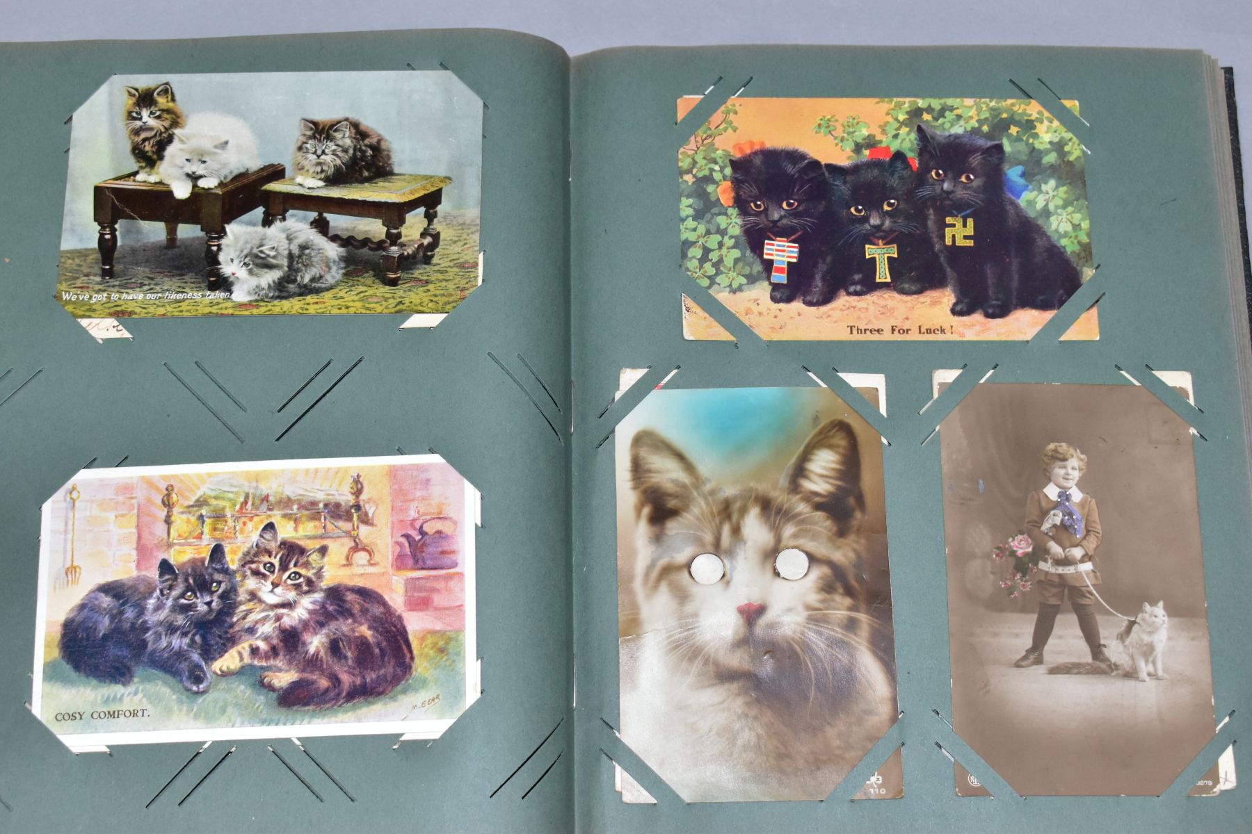 POSTCARDS, one album containing approximately 250 cat related postcards - Bild 8 aus 11