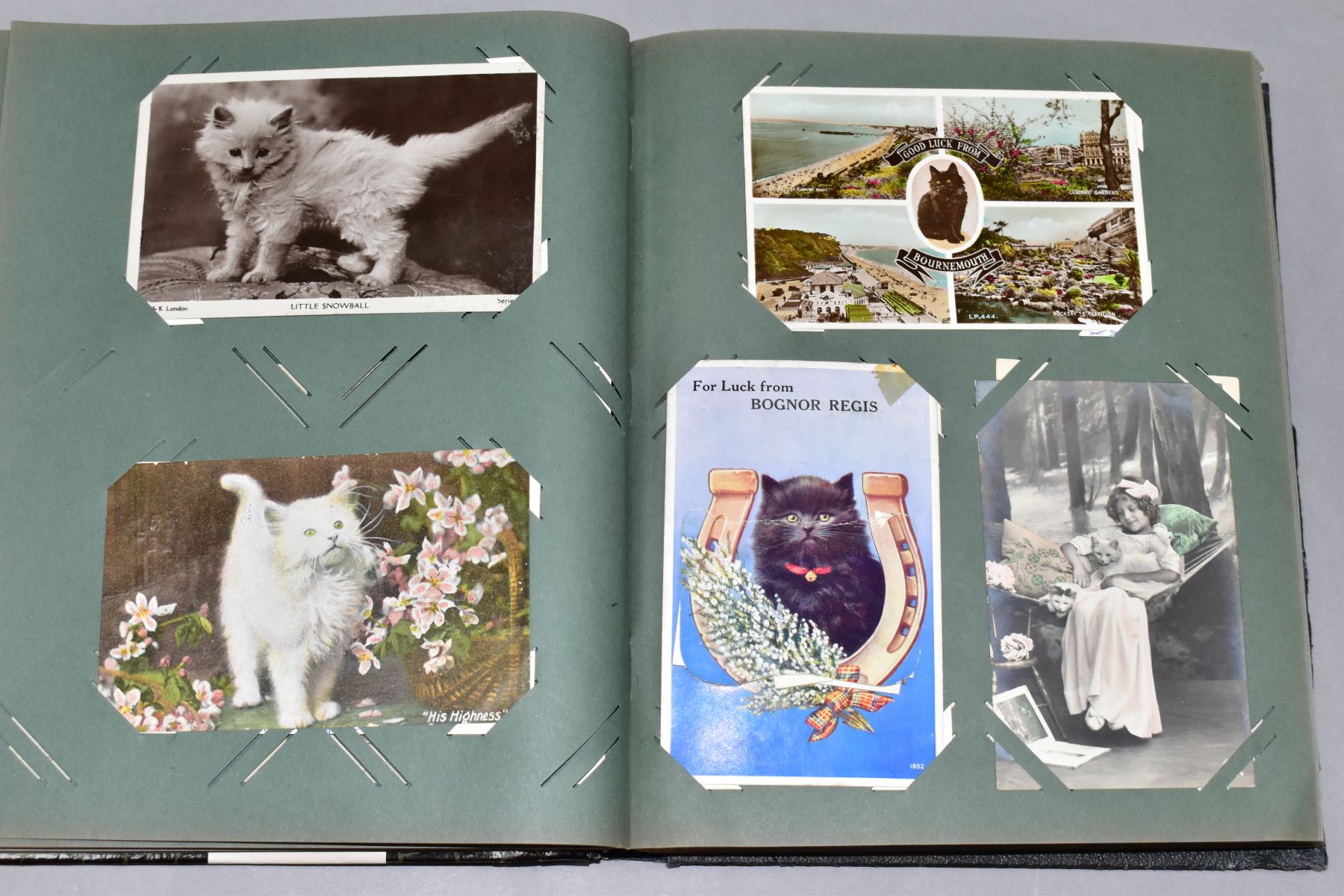 POSTCARDS, one album containing approximately 250 cat related postcards - Bild 6 aus 11