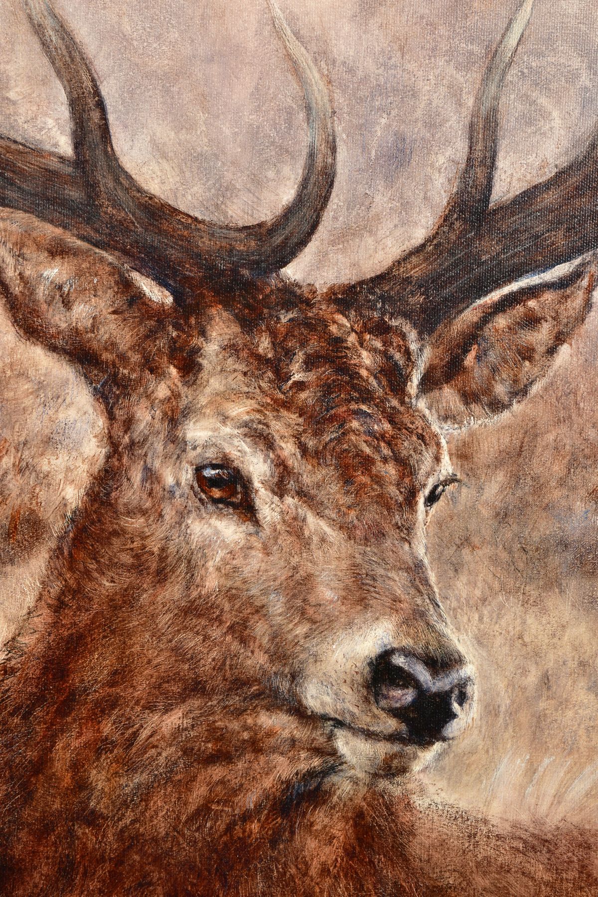 GARY BENFIELD (BRITISH 1965) 'NOBLE' a portrait of a Stag, signed limited edition print 77/195, with - Image 3 of 7