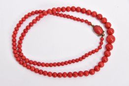 A DYED CORAL BEAD NECKLACE, designed as a row of graduated dyed coral beads measuring