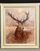 GARY BENFIELD (BRITISH 1965) 'NOBLE' a portrait of a Stag, signed limited edition print 77/195, with