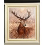 GARY BENFIELD (BRITISH 1965) 'NOBLE' a portrait of a Stag, signed limited edition print 77/195, with