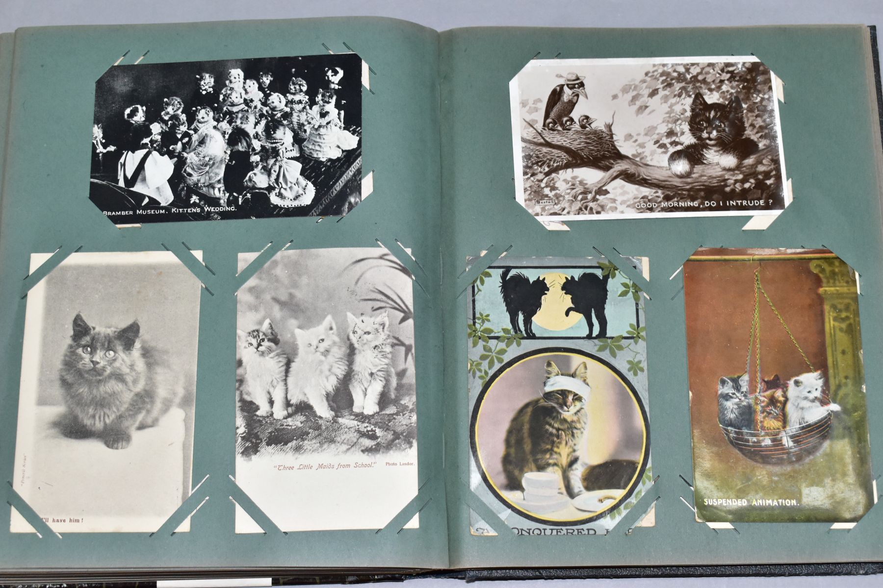 POSTCARDS, one album containing approximately 250 cat related postcards - Bild 10 aus 11