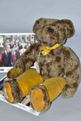 A FARNELL ALPHA TOYS TEDDY BEAR, brown and cream wool plush, glass eyes, vertically stitched nose,