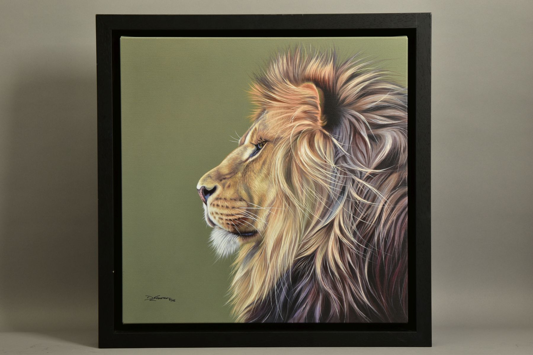 DARRYN EGGLETON (SOUTH AFRICA 1981) 'KING OF THE SAVANNAH' limited edition portrait of a lion 81/