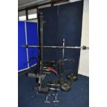 A MARCY WM348-1 WEIGHT BENCH with an Olympic bar, sixteen York Olympic Standard Barbells (2 at