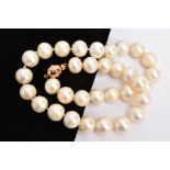 A CULTURED PEARL NECKLACE WITH 18CT GOLD CLASP, designed as a single row necklace, pearls
