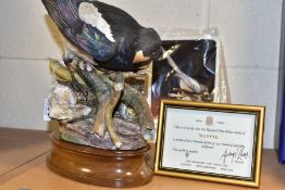 A HEREFORD FINE CHINA LIMITED EDITION MODEL OF A MAGPIE, no 9/250, with framed certificate and