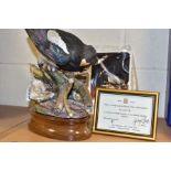 A HEREFORD FINE CHINA LIMITED EDITION MODEL OF A MAGPIE, no 9/250, with framed certificate and