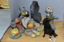 A BESWICK LABRADOR AND TEN RESIN BIRD ORNAMENTS, seated black labrador height 14cm, has signed 'John