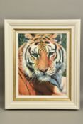 TONY FORREST (BRITISH 1961) 'WILD THING' limited edition print of a tiger 33/195, signed with