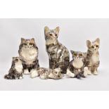 SIX WINSTANLEY CATS, all signed, all glass eyes, 30cm, 24.5cm, 23cm, 17cm, 12.5cm and 20cm in length