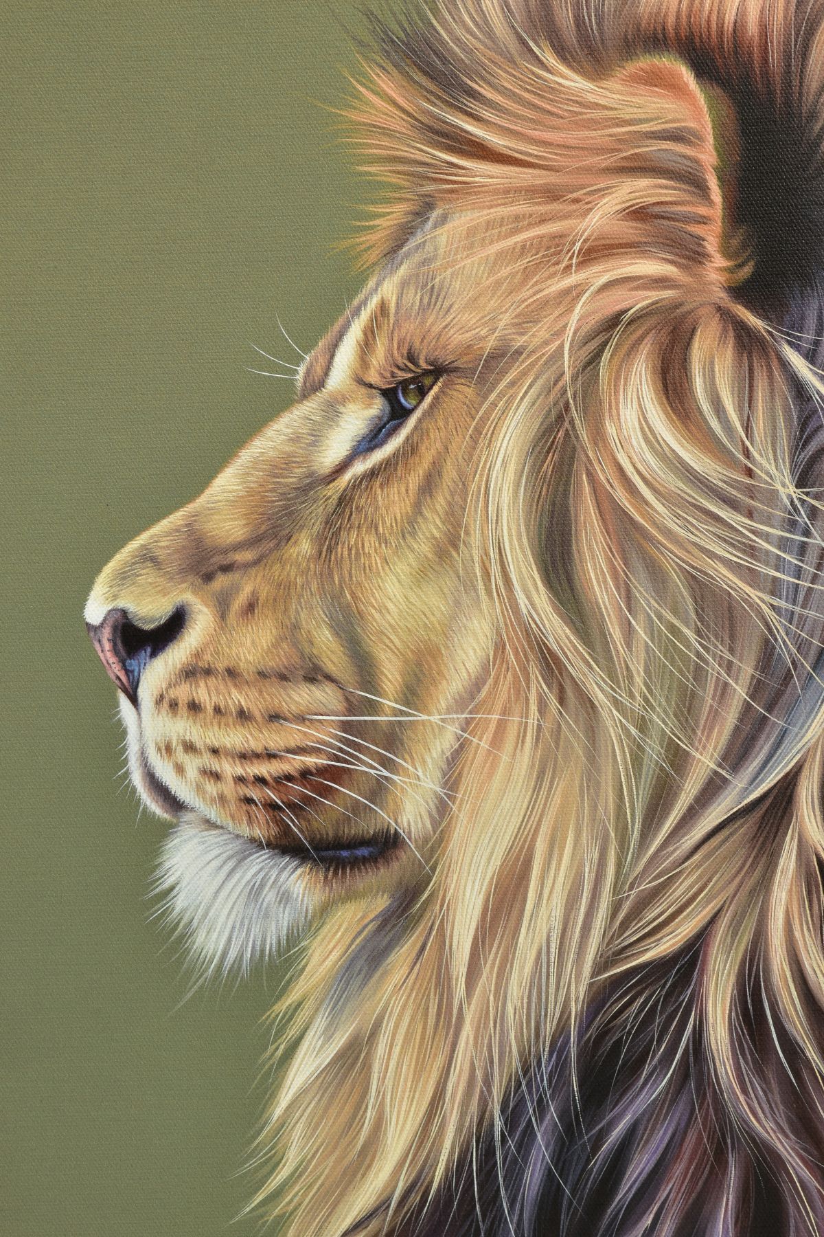 DARRYN EGGLETON (SOUTH AFRICA 1981) 'KING OF THE SAVANNAH' limited edition portrait of a lion 81/ - Image 2 of 8