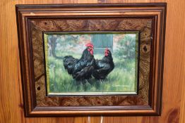 G WILLIAMS (20TH CENTURY) a black cockerel and hen in a rustic setting, signed bottom right, oil