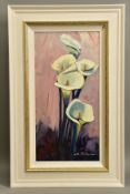 BRUNO TINUCCI (ITALY 1947) 'CALLE BIANCHI' a study of Calla Lilies, signed bottom right, oil on