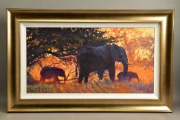 ROLF HARRIS (AUSTRALIA 1930) 'BACKLIT GOLD' a signed limited edition print of an elephant 134/195