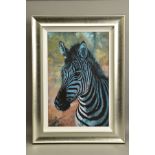 ROLF HARRIS (AUSTRALIAN 1930) 'YOUNG ZEBRA' a signed limited edition print 44/75 with certificate,