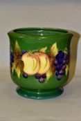 A MOORCROFT POTTERY JARDINIERE, fruit and vine pattern on green ground, impressed backstamp and
