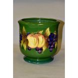 A MOORCROFT POTTERY JARDINIERE, fruit and vine pattern on green ground, impressed backstamp and