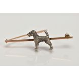 AN EARLY 20TH CENTURY 9CT GOLD DOG BAR BROOCH, depicting a Welsh terrier to the centre of the bar