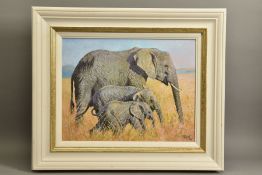 TONY FORREST (BRITISH 1961) 'FAMILY OUTING' a signed limited edition print of elephants, with
