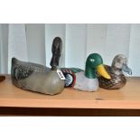 THREE LATE 20TH CENTURY PAINTED WOODEN MODELS OF DECOY DUCKS, largest with turned head, length 39cm,