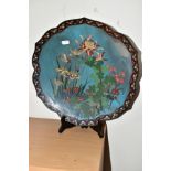 A CHINESE CLOISONNE SHALLOW DISH, the central section decorated with birds, foliage and flowers, the