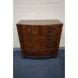 A LATE VICTORIAN MAHOGANY BOWFRONT CHEST OF TWO SHORT OVER THREE LONG DRAWERS, with turned handles