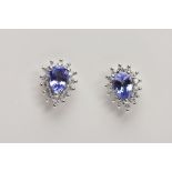 A PAIR OF 9CT WHITE GOLD TANZANITE CLUSTER EARRINGS, each of a tear drop shape, set with a central