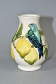 A SMALL MOORCROFT POTTERY BALUSTER VASE IN THE LEMON TREE PATTERN, on a white ground, impressed