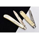 A SILVER AND MOTHER OF PEARL FRUIT KNIFE AND ONE OTHER, the silver blade hallmarked 'James Feton &