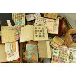 ACCUMULATION OF STAMPS AS LOOSE AND JUNIOR TYPE COLLECTIONS IN TWO PLASTIC TUBS