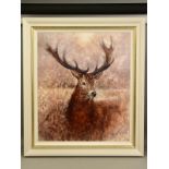 GARY BENFIELD (BRITISH CONTEMPORARY) 'NOBLE' a signed limited edition print of a Stag, 76/195,