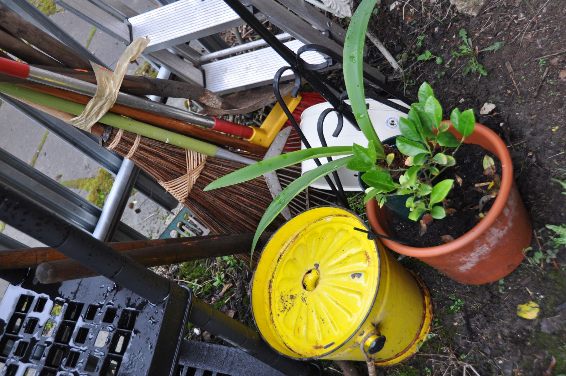 AN LUMINIUM STEP LADDER 170cm high, a bundle of garden tools and other garden items (10+) - Image 2 of 2