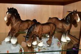 BESWICK SHIRE HORSES etc, comprising Cantering Shire, 975, in brown and grazing Shire, 1050, in