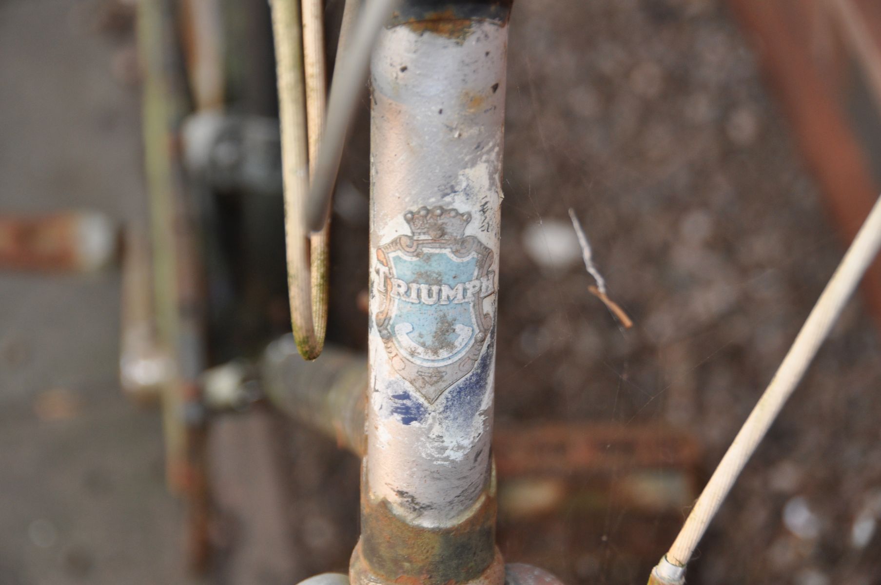 A VINTAGE TRIUMPH GENTS BIKE with three speed gears, 23in frame (distressed) - Image 4 of 4