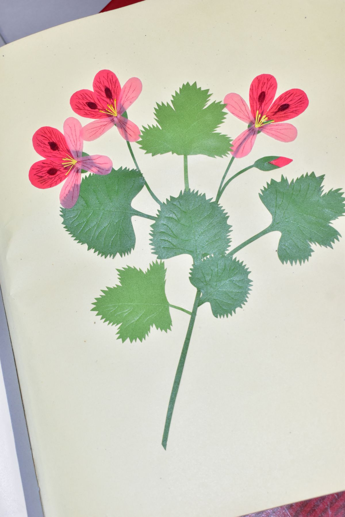 FLOWER COLLAGES, an album containing forty three leaves of carefully composed, cut out coloured - Image 4 of 7