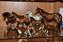 EIGHT BESWICK HORSES AND FOALS, all brown gloss except a Prancing Arab Type in grey gloss, model
