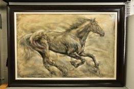 GARY BENFIELD (BRITISH CONTEMPORARY) 'HARMONY' a study of a horse in full gallop, signed bottom