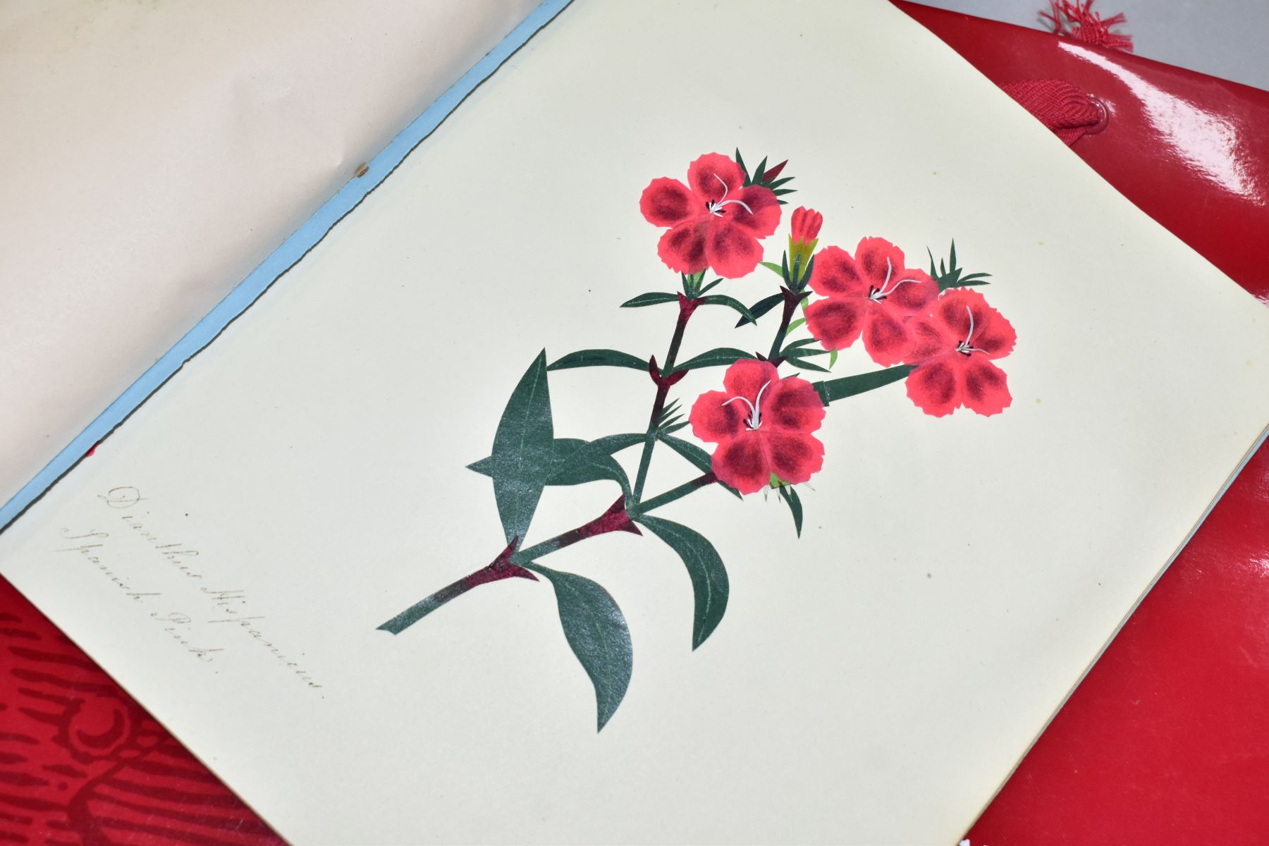 FLOWER COLLAGES, an album containing forty three leaves of carefully composed, cut out coloured - Image 7 of 7