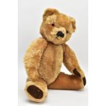 A PEDIGREE GOLDEN PLUSH MUSICAL TEDDY BEAR, felt nose, plastic eyes, jointed body, brown velvet