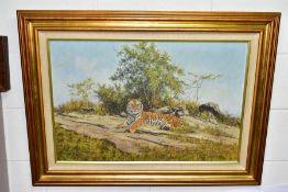 STEPHEN PARK (BRITISH 1953), a tiger in a natural landscape setting, signed bottom right, oil on