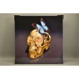 RORY HANCOCK (BRITISH 1987) 'BUTTERFLY KISS' a signed limited edition box canvas print of a skull