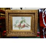 A LATE 19TH/EARLY 20TH CENTURY STILL LIFE STUDY, of two apples and foliage, watercolour, unsigned,