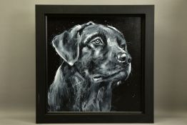 JENNIFER HOGWOOD (BRITISH 1980) 'CLASSIC LABRADOR', a portrait study of a black Labrador, signed