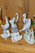 EIGHT NAO FIGURES OF DUCKS AND GEESE, in a variety of poses, tallest 15cm high, seven with printed