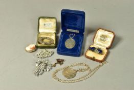 EIGHT ITEMS OF SILVER AND COSTUME JEWELLERY, to include a lapis lazuli and split pearl bug brooch,