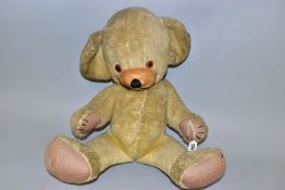 A MERRYTHOUGHT CHEEKY BEAR, C.1950'S/1960'S, amber and black glass eyes, bell to left ear, velvet