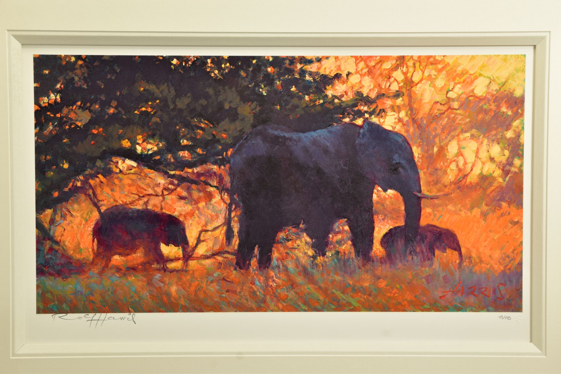 ROLF HARRIS (AUSTRALIAN 1930) 'BACKLIT GOLD' a limited edition print 100/195 depicting Elephants, - Image 2 of 10